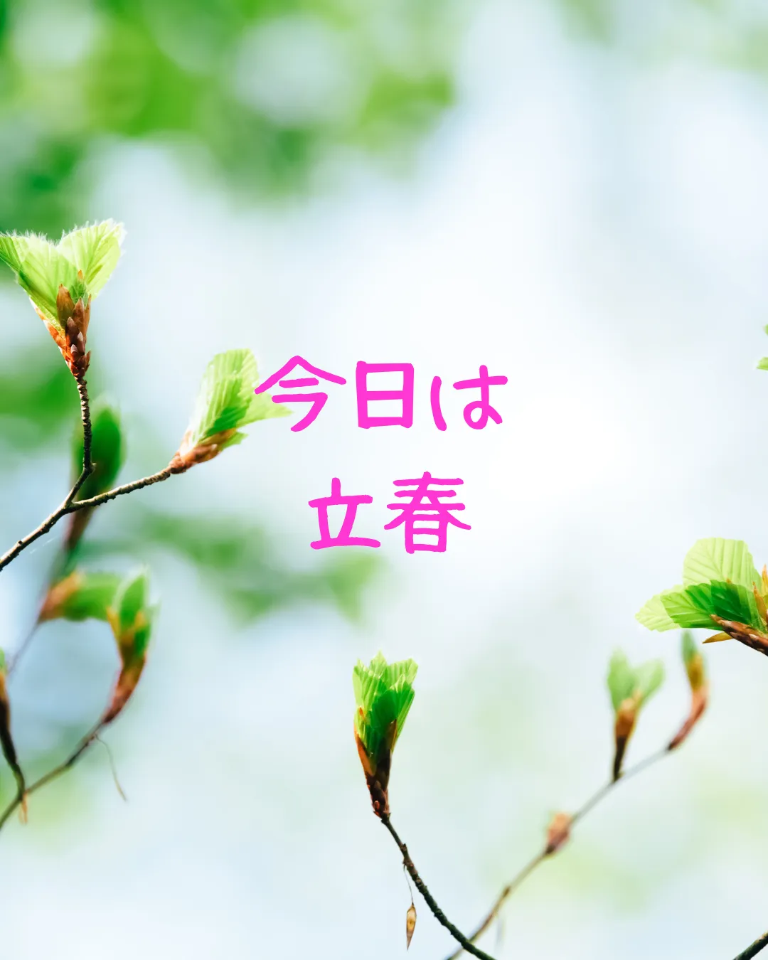 Instagram更新!